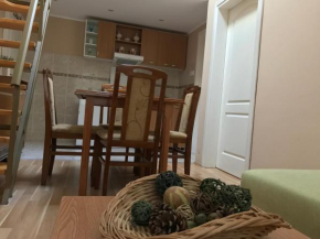 Gallery apartment Andy